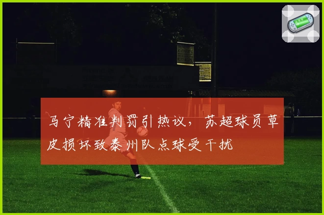 马宁精准判罚引热议，苏超球员草皮损坏致泰州队点球受干扰
